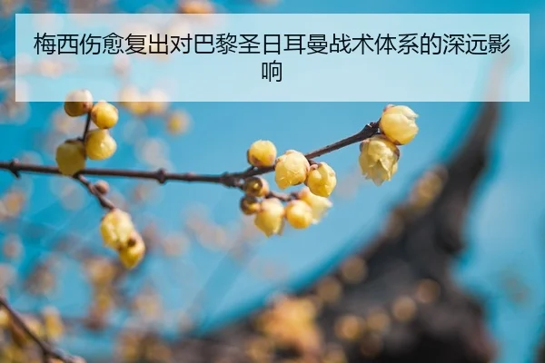 mei-xi-shang-yu-fu-chu-dui-ba-li-sheng-ri-er-man-zhan-shu-ti-xi-de-shen-yuan-ying-xiang-2-114.jpg