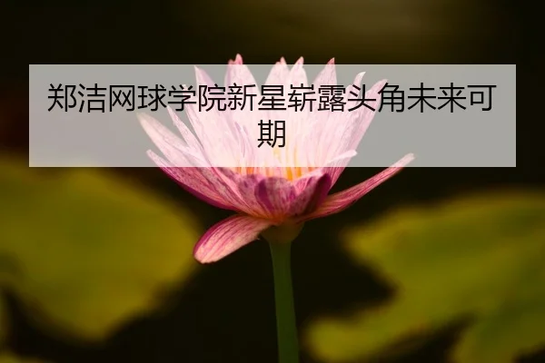 zheng-jie-wang-qiu-xue-yuan-xin-xing-zhan-lu-tou-jiao-wei-lai-ke-qi-2-988.jpg