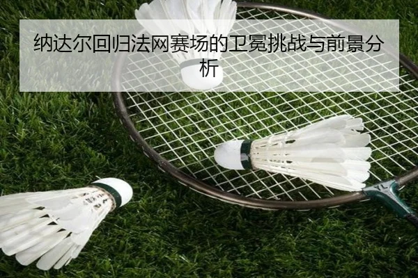 na-da-er-hui-gui-fa-wang-sai-chang-de-wei-mian-tiao-zhan-yu-qian-jing-fen-xi-2-596.jpg