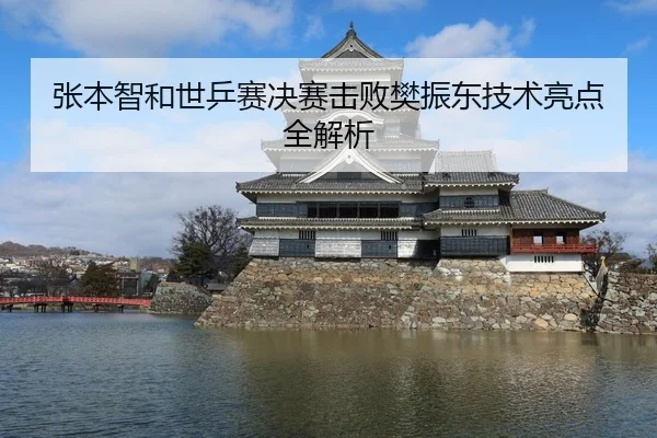 张本智和世乒赛决赛击败樊振东技术亮点全解析